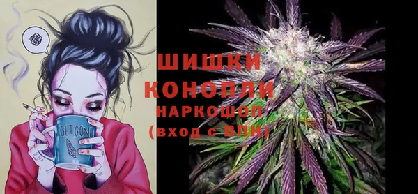ECSTASY Нязепетровск