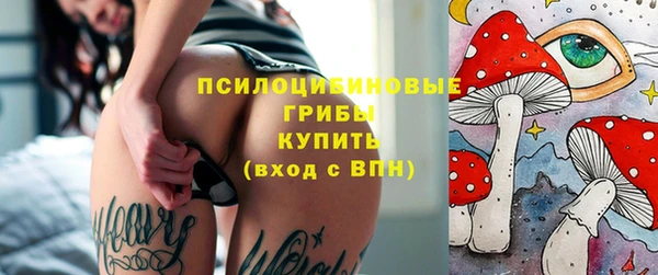 ALPHA PVP Алзамай