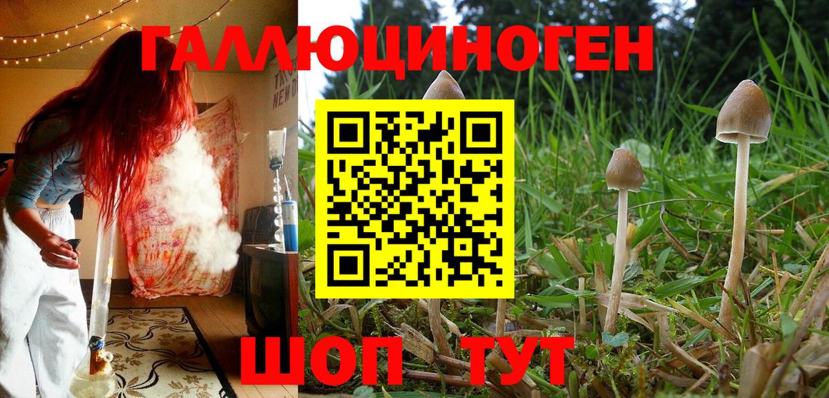 Псилоцибиновые грибы MAGIC MUSHROOMS Тула